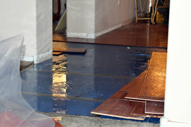 Professional Water Damage Restoration technician working in La Coste, TX